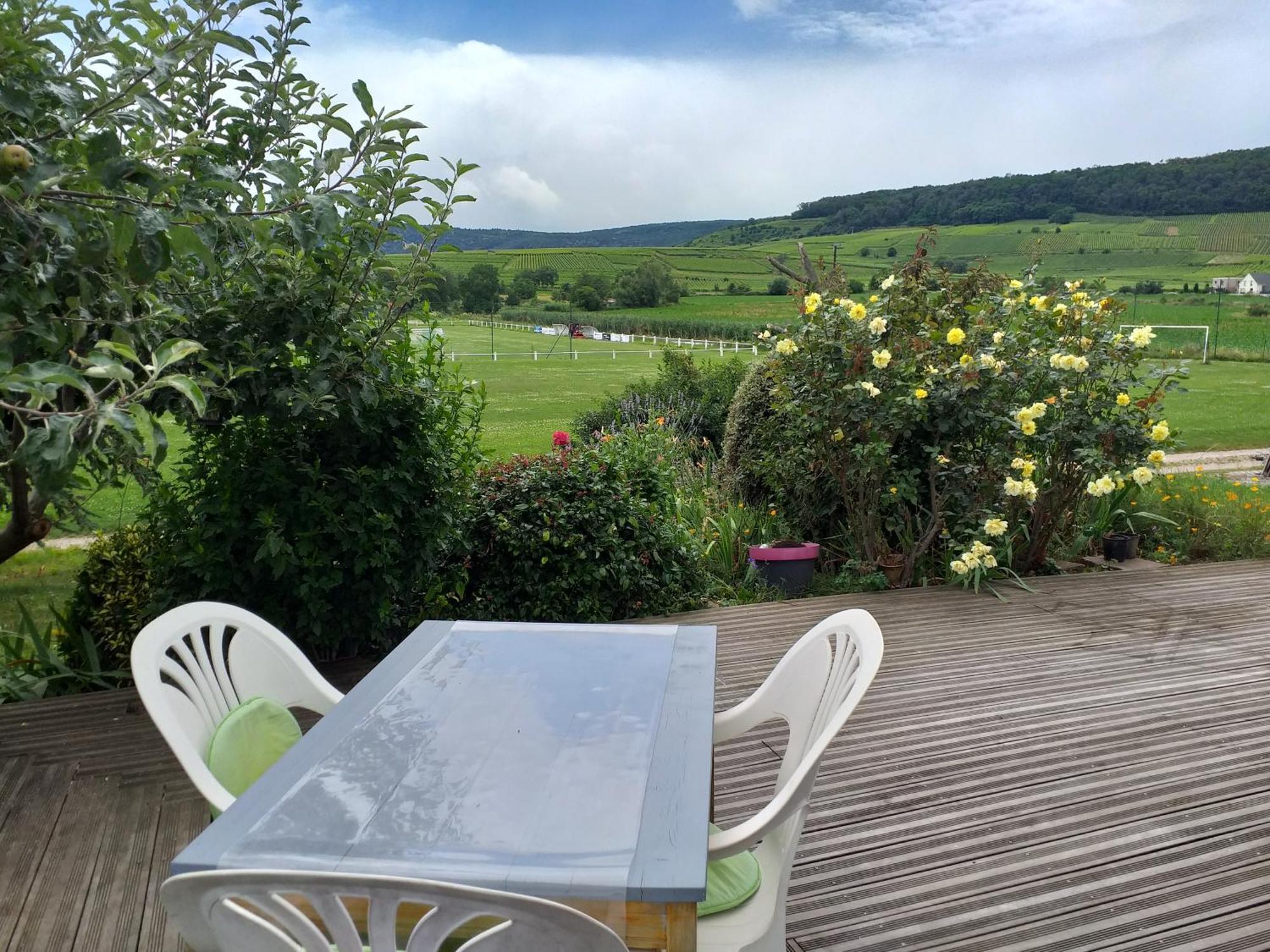 Apartamento Chez Le Vigneron Westhalten Exterior foto